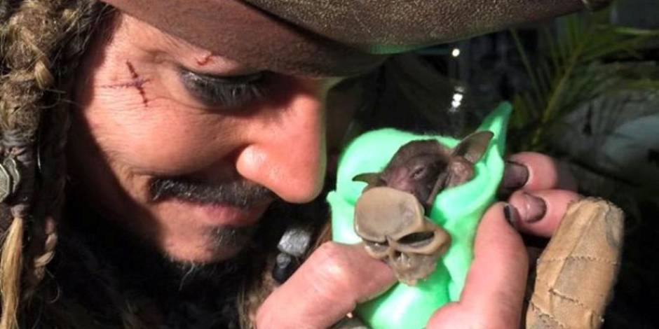 Johnny Depp Donne Le Biberon A Un Bebe Chauve Souris Dh Les Sports